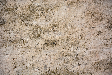 Grunge wall. Picture can be used as a background