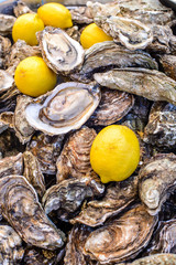 Fresh oysters on the counter/Fresh oysters and lemons on the counter of a street vendor