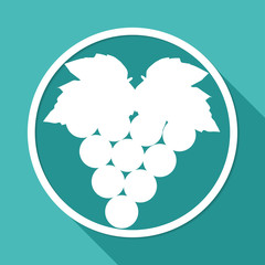 Icon grapes on white circle with a long shadow