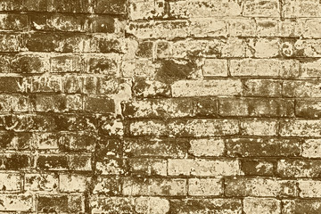 Texture. Brick. It can be used as a background
