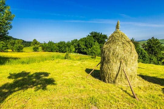 field with haystacks