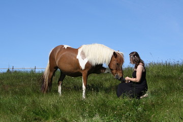 Ponette qui pose son ant&eacute;rieur sur la jambe
