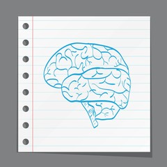 brain on paper