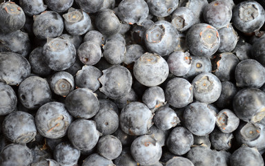 Blueberries