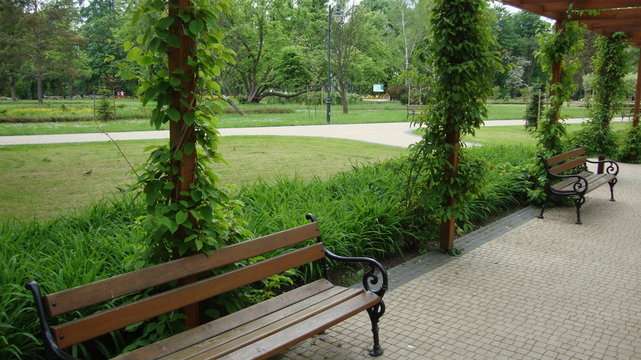 park zdrojowy w Rabce - pergola