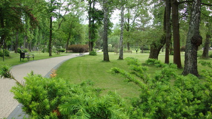 alejka w parku zdrojowym w Rabce © manek79