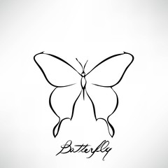abstract butterfly vector