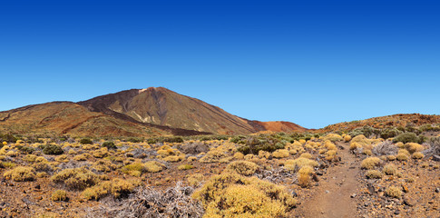 Volcano Teide in Tenerife island - Canary