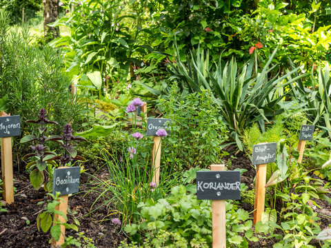 Kr&auml;utergarten