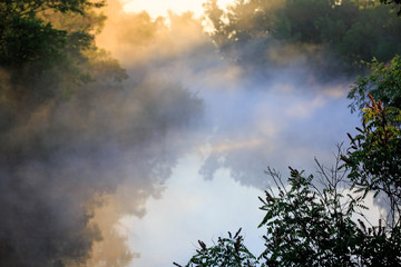 Mormimg mist over river