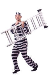 Prison inmate isolated on the white