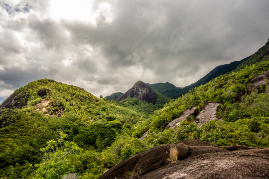 Morne Seychellois National Park - Mahe - Seychelles