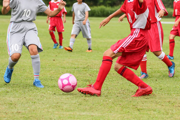 Fototapeta premium サッカー フットボール