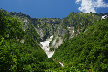 谷川岳の新緑