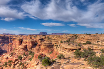 Fototapeta na wymiar Utah-Canyonlands National Park-Needles District