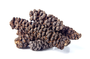 long pepper on white background