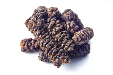 long pepper on white background
