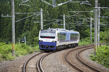 Naklejka premium 秋田県大仙市 林の中をクルージングトレインが走行