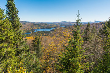 Fototapeta na wymiar Fall Color Lookout from Mountain Top