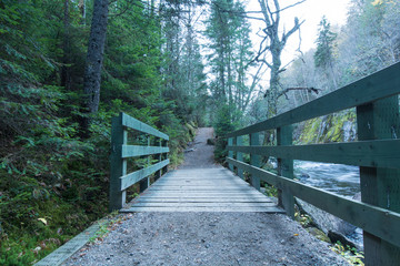 Bridge through the Woods