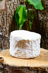 french cheeses  on a piece of wood