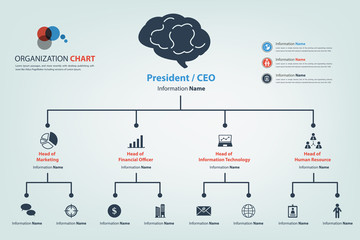 Modern and smart organization chart in vector style (eps10)