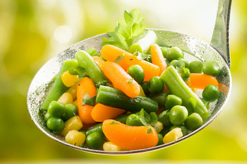 Freshly harvested assorted young vegetables