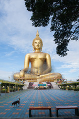 Gold buddha statue under construction in Thai temple with clear sky.WAT MUANG, Ang Thong, THAILAND.
