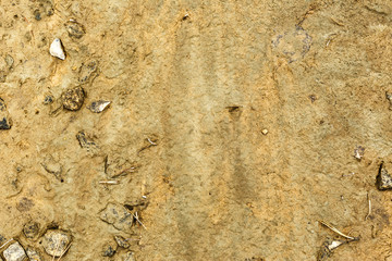 Dry soil