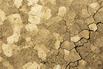 Dry soil