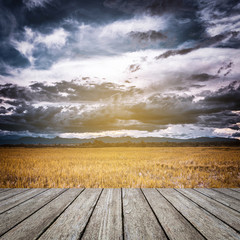 storm clouds and yellow field before rainy with wood table