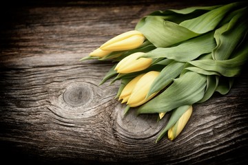 yellow tulips on rustic wooden background