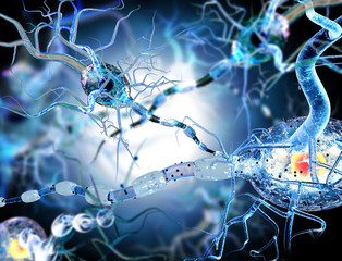 nerve cells, concept for Neurological Diseases and brain surgery.
