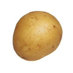 potato isolated on white background