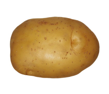 potato isolated on white background, with clipping path