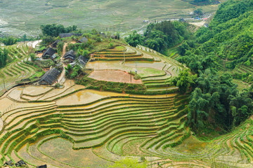 Fototapeta na wymiar Rice field terraces at Sapa Lao cai province northern Vietnam