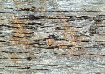 texture background woody