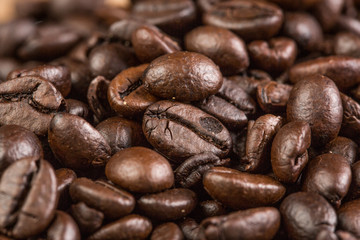Coffee bean on grunge wooden background