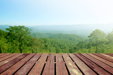 Tropical forest above a wooden floor