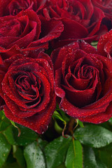 Colorful flower bouquet from red roses.