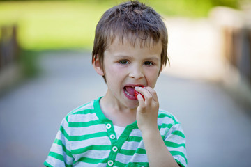 Fototapeta premium Cute little caucasian boy, eating strawberries in the park