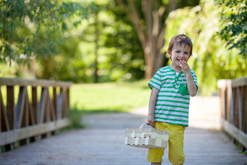 Cute little caucasian boy, eating strawberries in the park