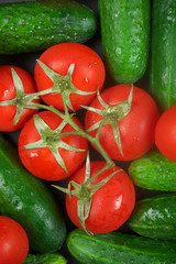 Tomatoes and cucumbers
