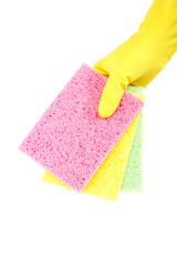 Sponge in hand with a rubber glove.