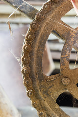 close up bicycle Dirt chain and gear wheel