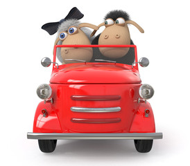 cheerful lambs drive the car © karelin721