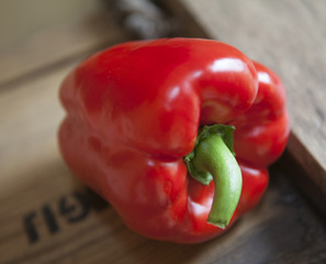 poivron rouge paprika bio