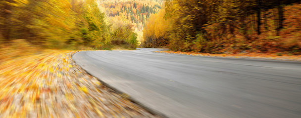 The road in the autumn forest. Panorama
