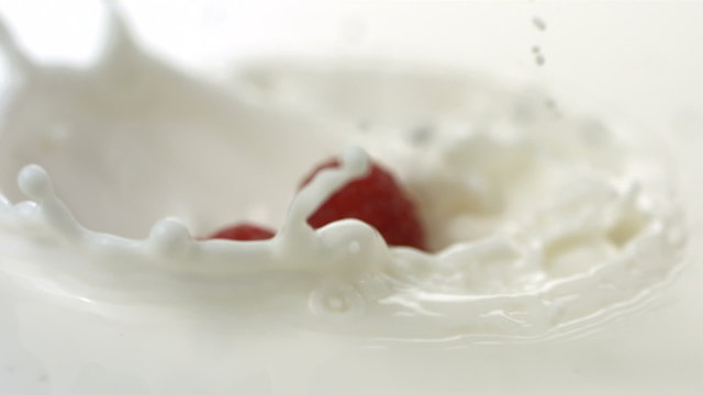 Fresh raspberries splashing into cream, slow motion