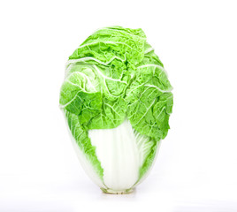 fresh chinese cabbage which look like human head  on a white bac